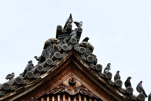 圓山花博 臨濟護國禪寺