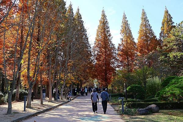2024韓國大邱慶州釜山之旅 - 慶州山林環境研究所