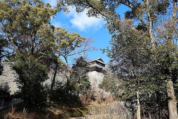 2025日本九州四國本州之旅 - 愛媛縣松山市松山城