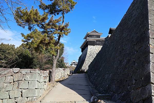 2025日本九州四國本州之旅 - 愛媛縣松山市松山城