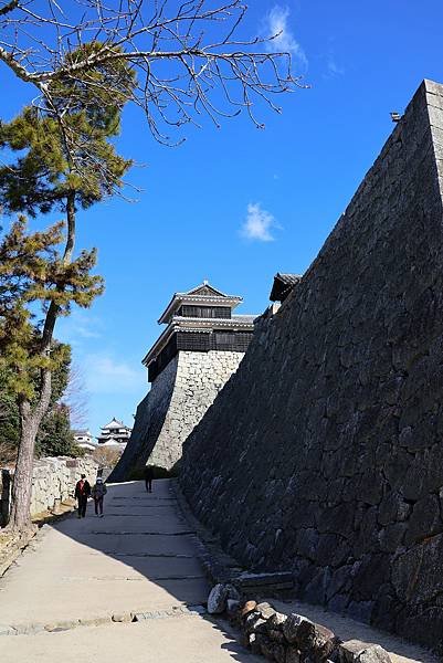 2025日本九州四國本州之旅 - 愛媛縣松山市松山城