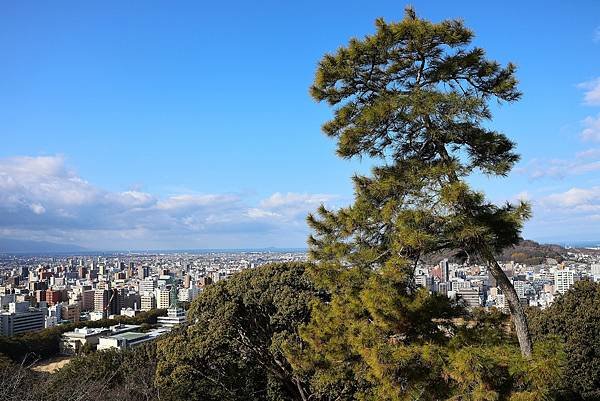 2025日本九州四國本州之旅 - 愛媛縣松山市松山城