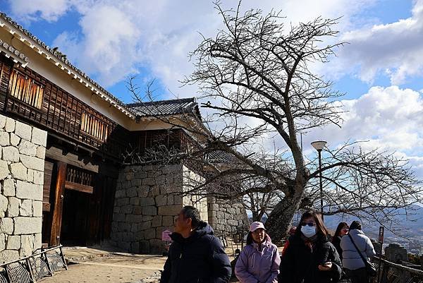 2025日本九州四國本州之旅 - 愛媛縣松山市松山城