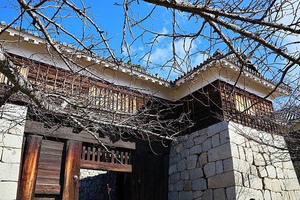 2025日本九州四國本州之旅 - 愛媛縣松山市松山城