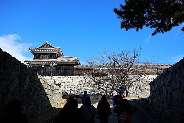 2025日本九州四國本州之旅 - 愛媛縣松山市松山城