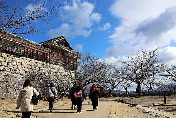 2025日本九州四國本州之旅 - 愛媛縣松山市松山城