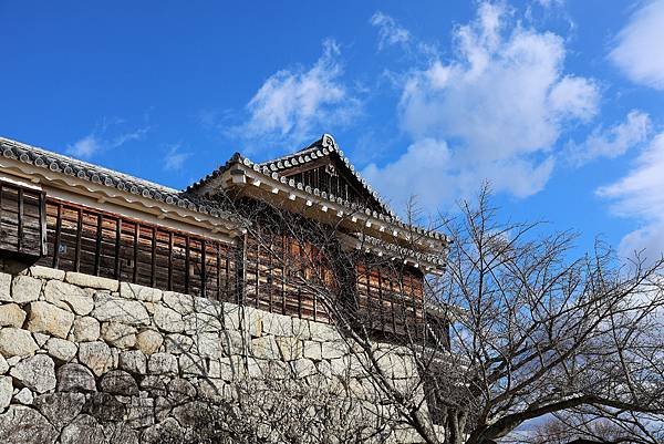 2025日本九州四國本州之旅 - 愛媛縣松山市松山城
