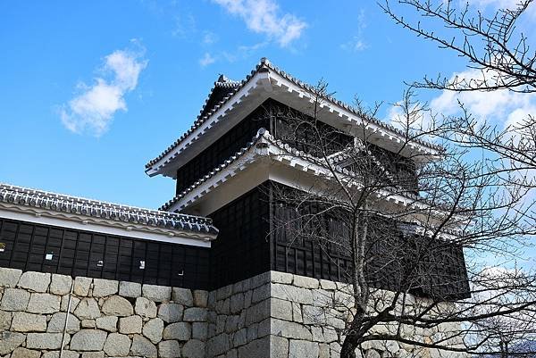 2025日本九州四國本州之旅 - 愛媛縣松山市松山城