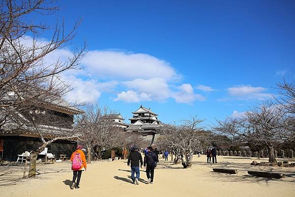 2025日本九州四國本州之旅 - 愛媛縣松山市松山城