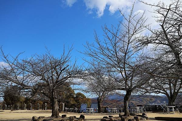 2025日本九州四國本州之旅 - 愛媛縣松山市松山城