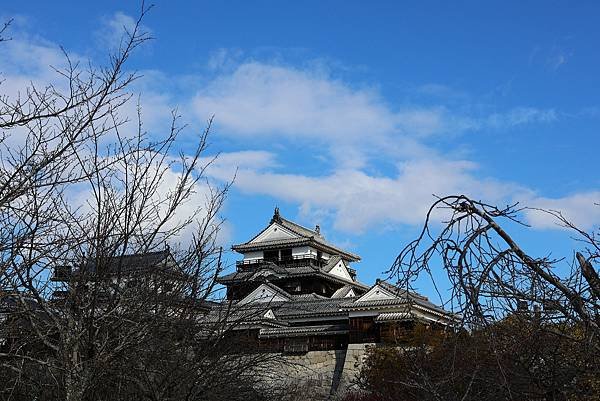2025日本九州四國本州之旅 - 愛媛縣松山市松山城