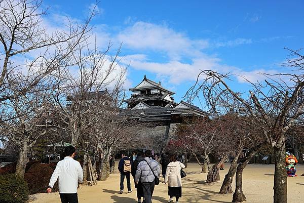 2025日本九州四國本州之旅 - 愛媛縣松山市松山城