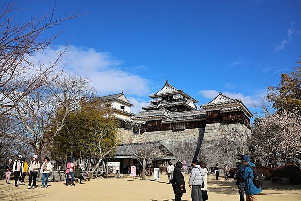 2025日本九州四國本州之旅 - 愛媛縣松山市松山城