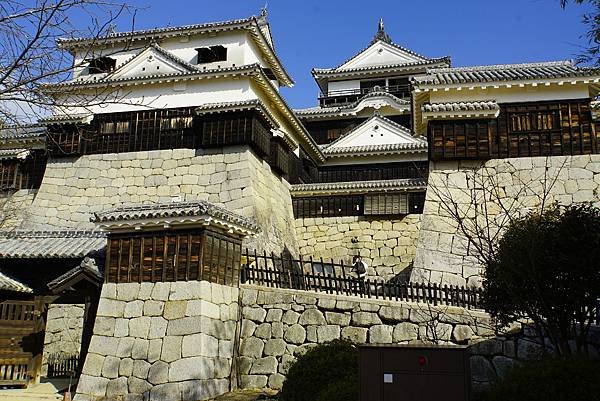 2025日本九州四國本州之旅 - 愛媛縣松山市松山城