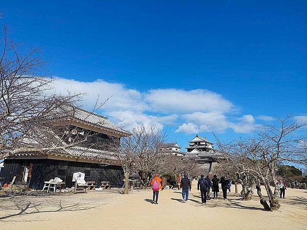 2025日本九州四國本州之旅 - 愛媛縣松山市松山城