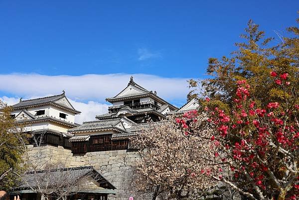 2025日本九州四國本州之旅 - 愛媛縣松山市松山城