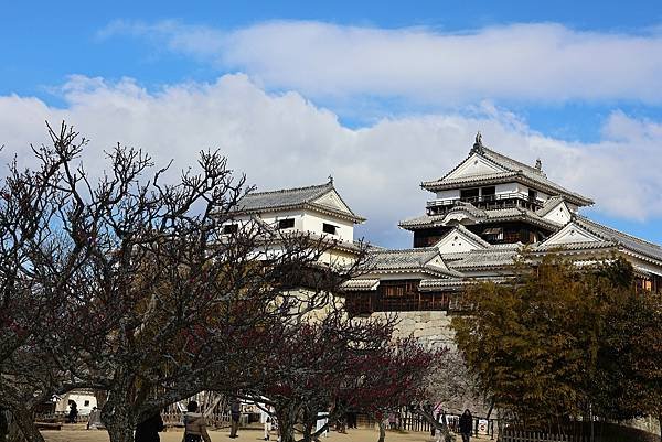 2025日本九州四國本州之旅 - 愛媛縣松山市松山城