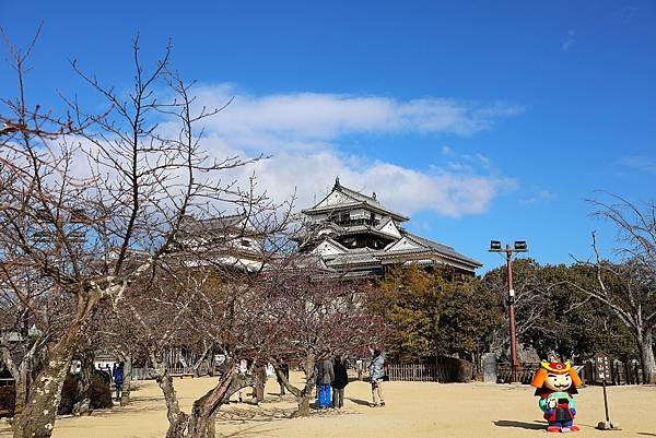 2025日本九州四國本州之旅 - 愛媛縣松山市松山城