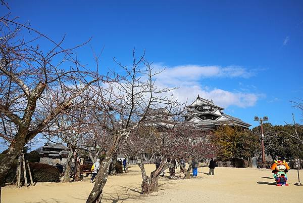 2025日本九州四國本州之旅 - 愛媛縣松山市松山城