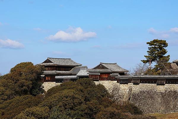 2025日本九州四國本州之旅 - 愛媛縣松山市松山城