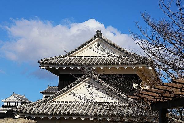 2025日本九州四國本州之旅 - 愛媛縣松山市松山城