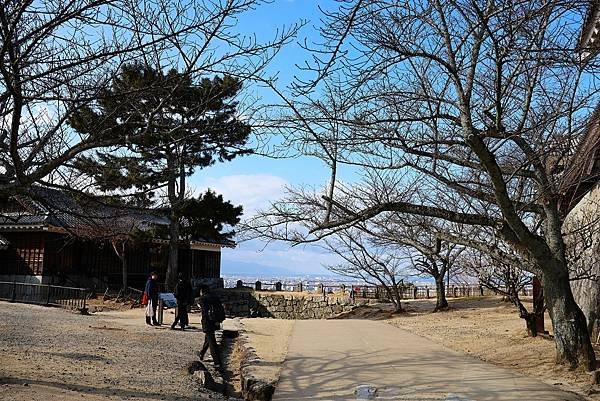 2025日本九州四國本州之旅 - 愛媛縣松山市松山城