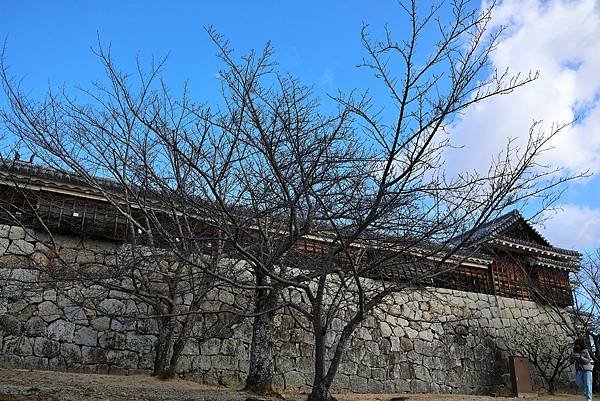 2025日本九州四國本州之旅 - 愛媛縣松山市松山城