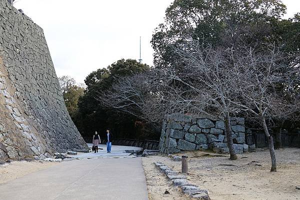 2025日本九州四國本州之旅 - 愛媛縣松山市松山城