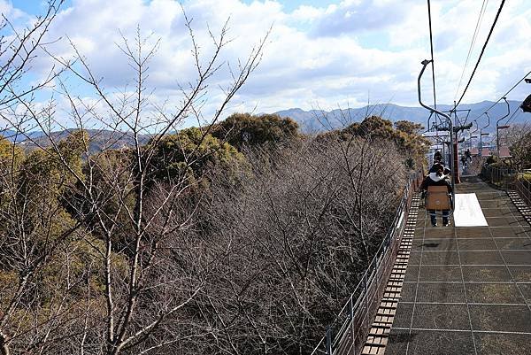 2025日本九州四國本州之旅 - 愛媛縣松山市松山城