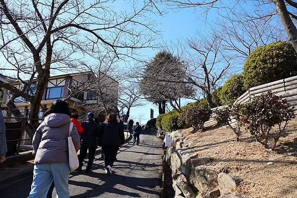 2025日本九州四國本州之旅 - 廣島縣尾道市 千光寺
