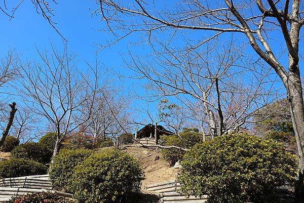 2025日本九州四國本州之旅 - 廣島縣尾道市 千光寺