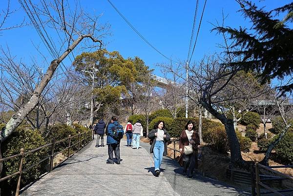 2025日本九州四國本州之旅 - 廣島縣尾道市 千光寺
