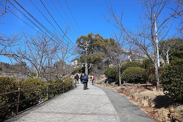 2025日本九州四國本州之旅 - 廣島縣尾道市 千光寺