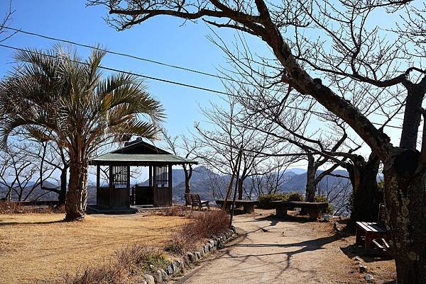 2025日本九州四國本州之旅 - 廣島縣尾道市 千光寺