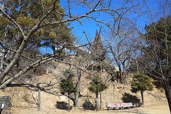 2025日本九州四國本州之旅 - 廣島縣尾道市 千光寺