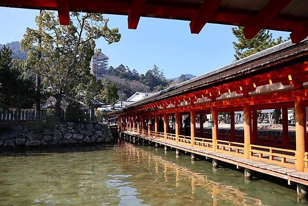 2025日本九州四國本州之旅 - 廣島縣宮島 嚴島神社