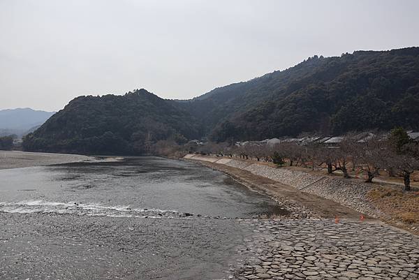 2025日本九州四國本州之旅 - 山口縣岩國市 吉香公園