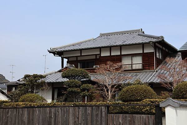 2025日本九州四國本州之旅 - 山口縣岩國市 吉香公園