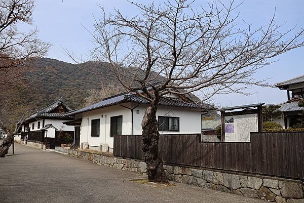 2025日本九州四國本州之旅 - 山口縣岩國市 吉香公園