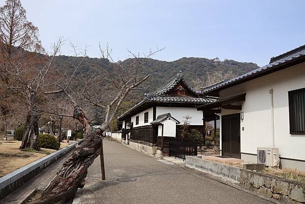 2025日本九州四國本州之旅 - 山口縣岩國市 吉香公園