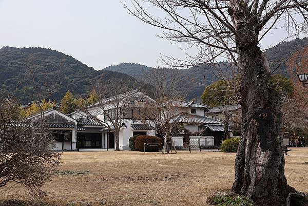 2025日本九州四國本州之旅 - 山口縣岩國市 吉香公園