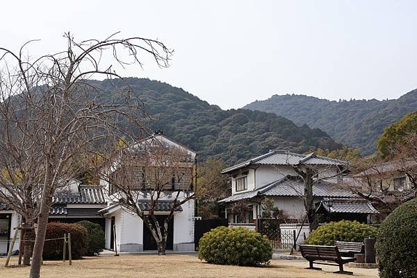 2025日本九州四國本州之旅 - 山口縣岩國市 吉香公園
