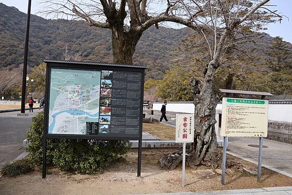 2025日本九州四國本州之旅 - 山口縣岩國市 吉香公園