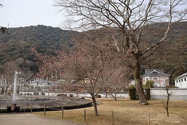 2025日本九州四國本州之旅 - 山口縣岩國市 吉香公園