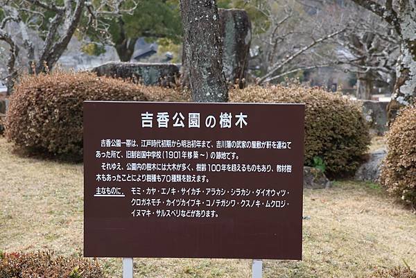 2025日本九州四國本州之旅 - 山口縣岩國市 吉香公園