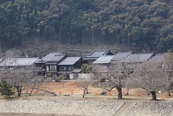 2025日本九州四國本州之旅 - 山口縣岩國市 吉香公園