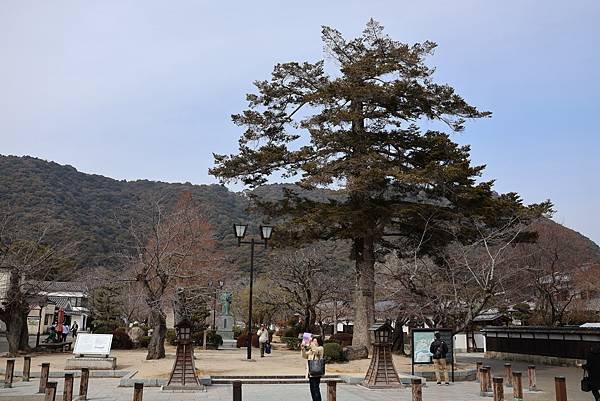 2025日本九州四國本州之旅 - 山口縣岩國市 吉香公園