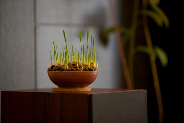 電視牆09.jpg