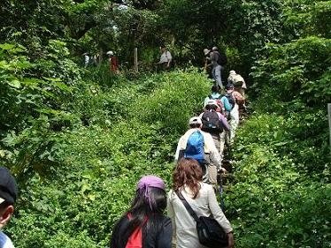 07開始登山.JPG