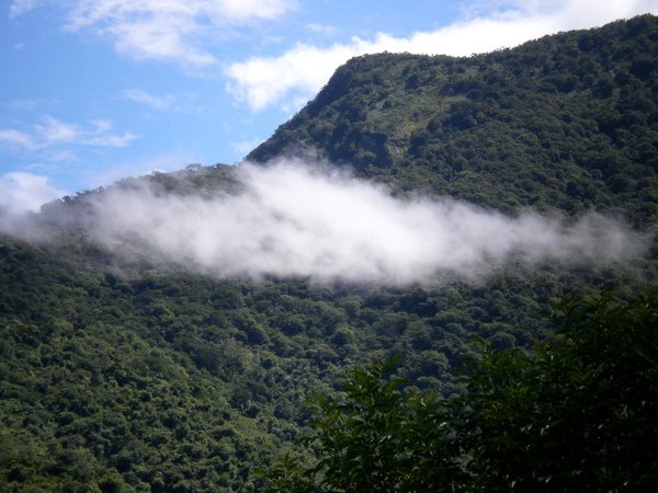 PICT0300.JPG